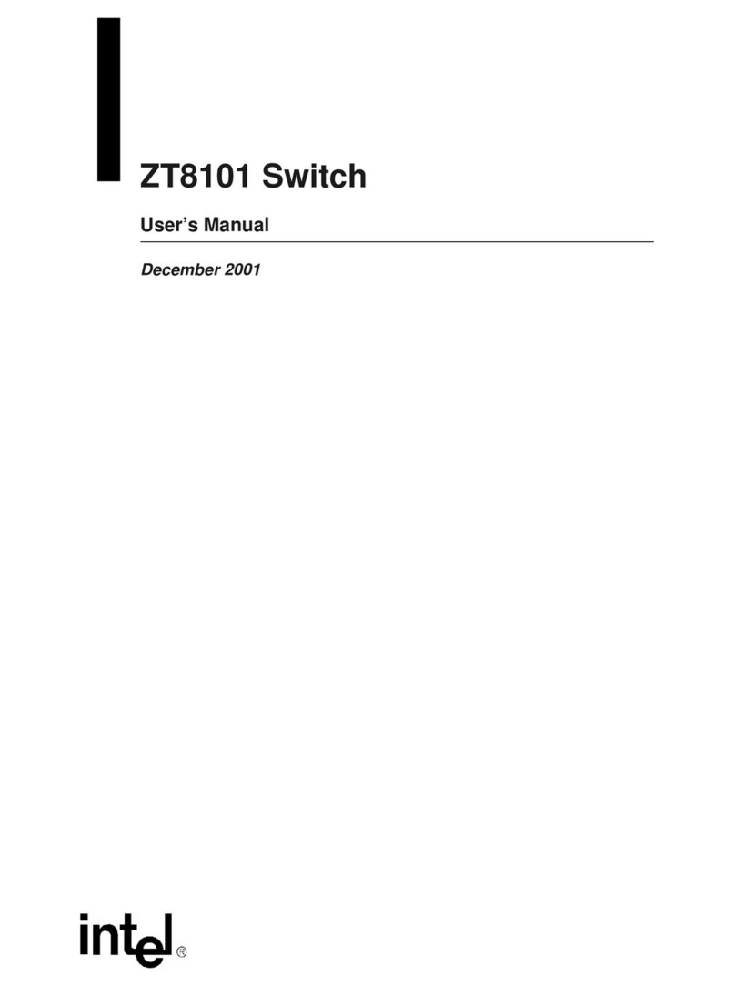Intel ZT8101 User manual