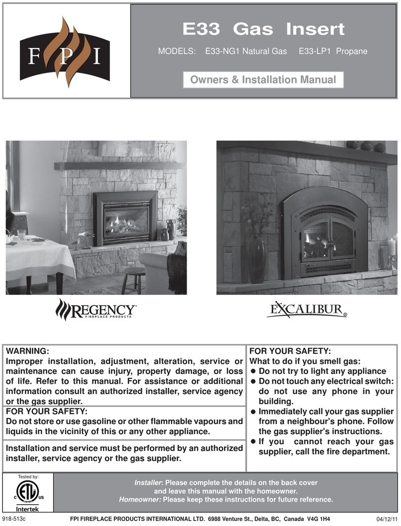Regency Gas Insert E33-NG1 Owners & installation manual