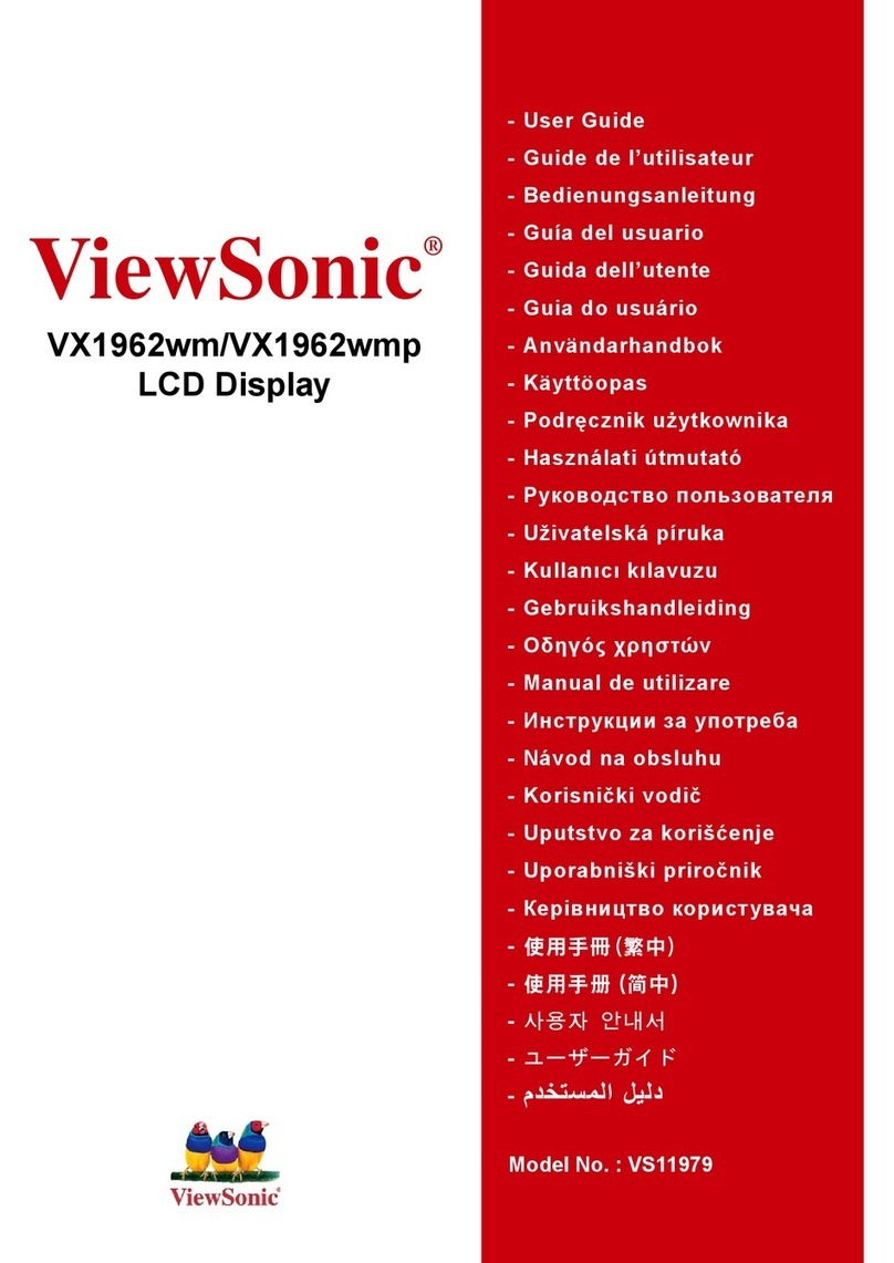 ViewSonic VX1962wmp User manual