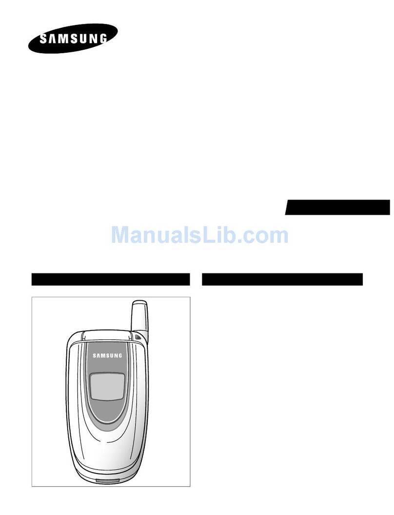 Samsung SGH-E100 User manual