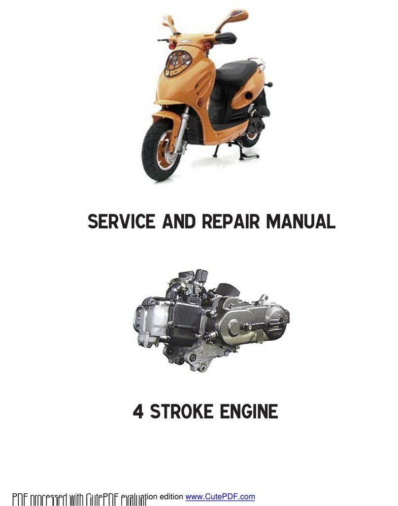 Baotian Classic Service and repair manual