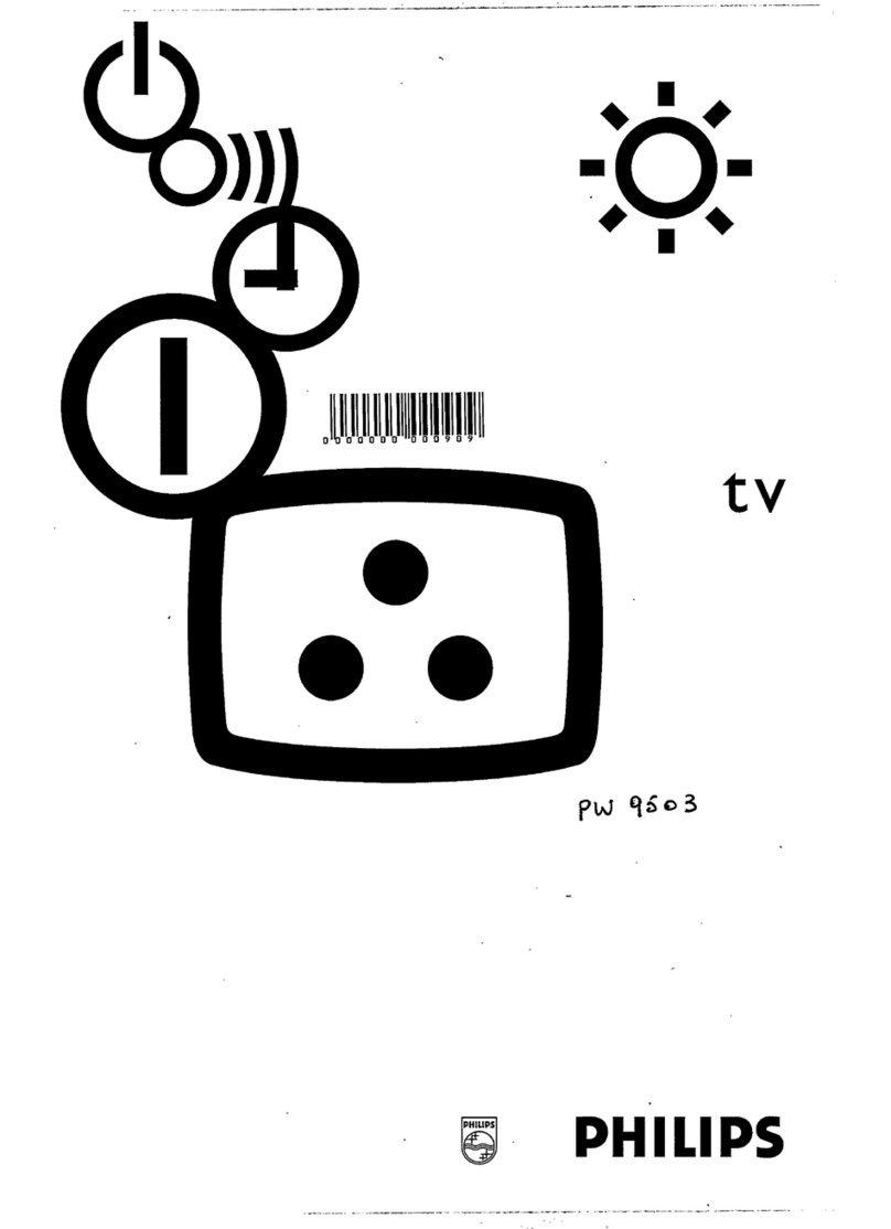 Philips 28PW9503/19 User manual