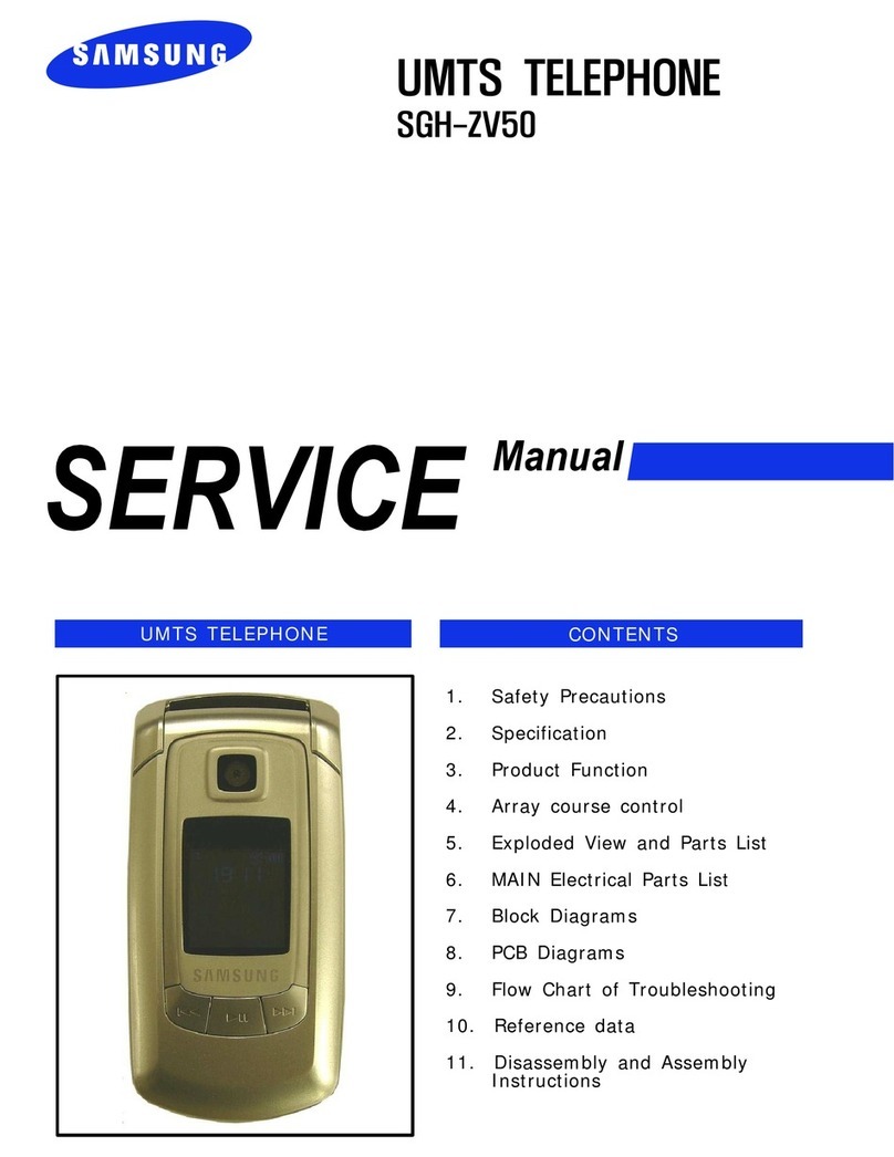 Samsung SGH-ZV50 User manual