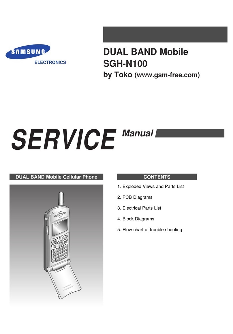Samsung SGH-N100 User manual