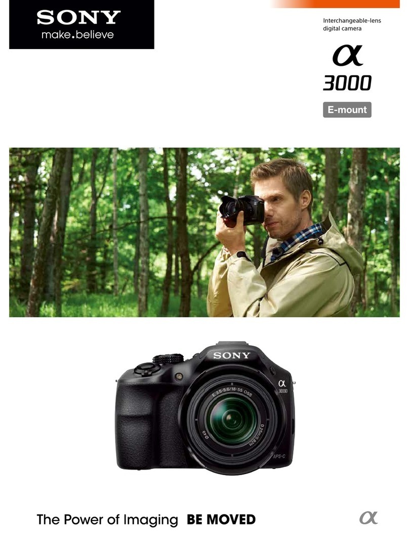 Sony alpha ILCE-3000 Specification sheet