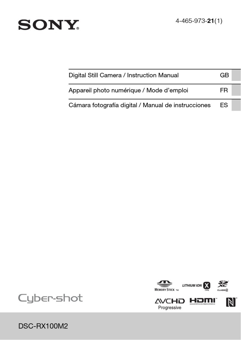Sony DSC-RX100M2 User manual