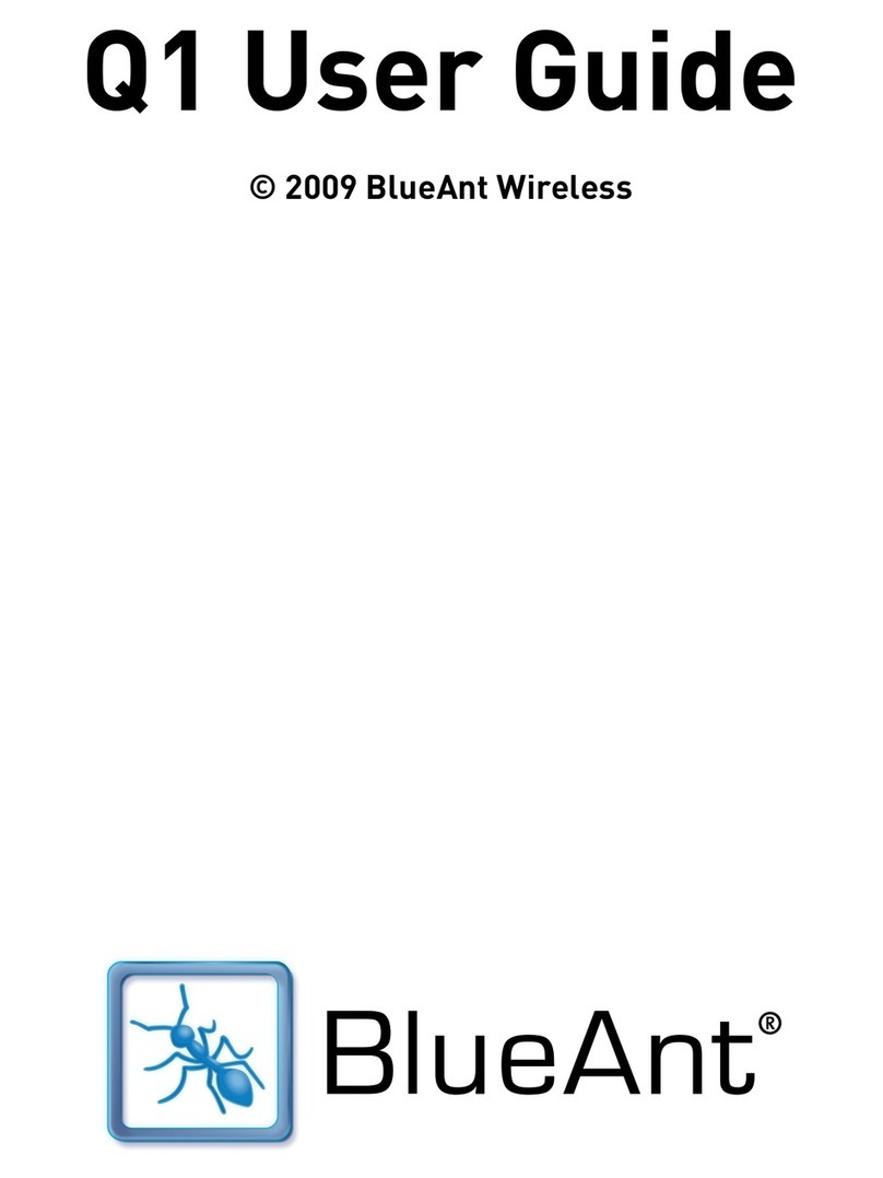 Blueant Q1 user guide