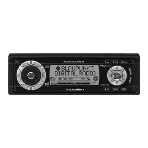 Blaupunkt Woodstock DAB54 User manual