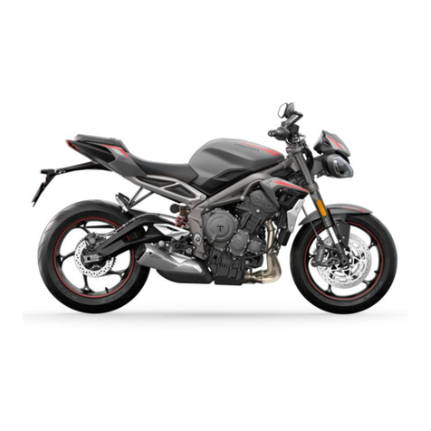 Triumph Street Triple R Additional information