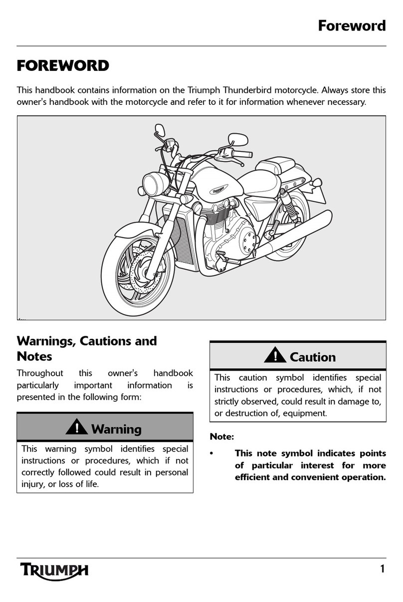 Triumph Thunderbird User manual