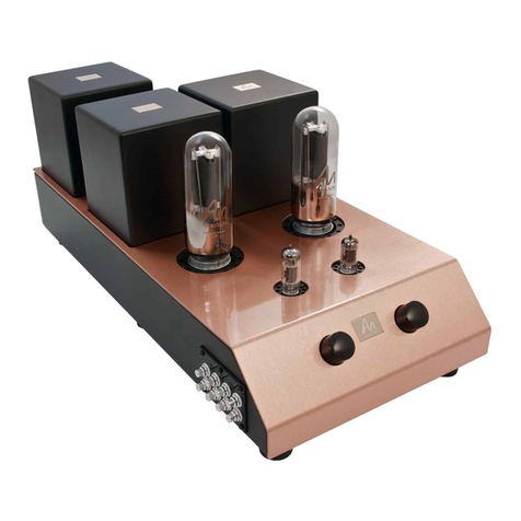 Audio Note ONGAKU Technical manual