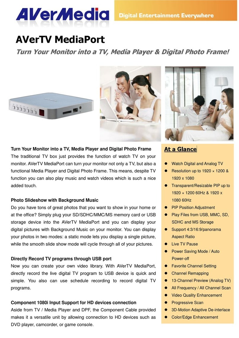 Avermedia AVerTV MediaPort specification