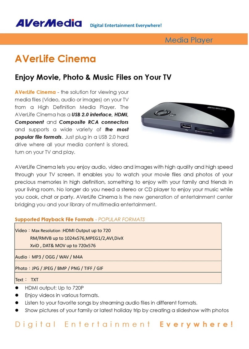 Avermedia AVerLife Cinema specification