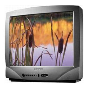 Daewoo 141VT User manual