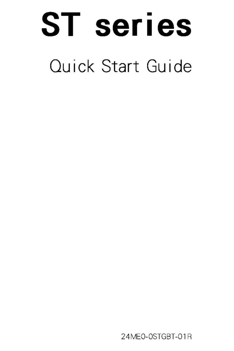 Gigabyte ST series User manual