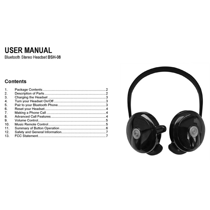 Anycom BSH-08 user manual