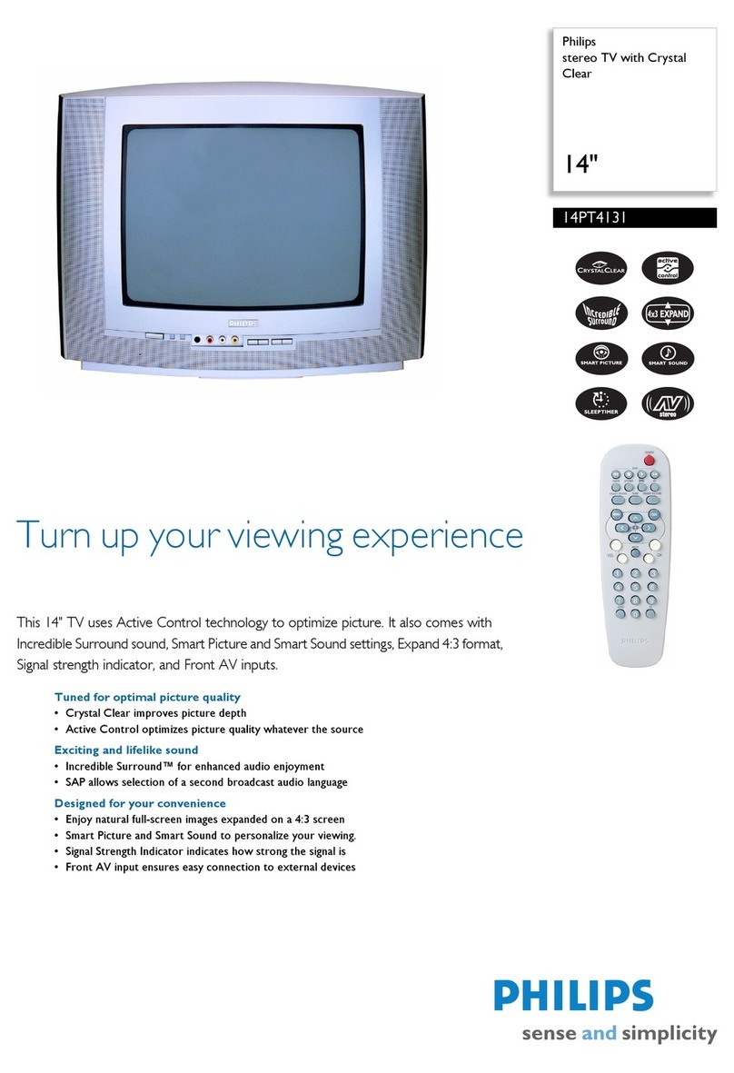 Philips 14PT4131 User manual