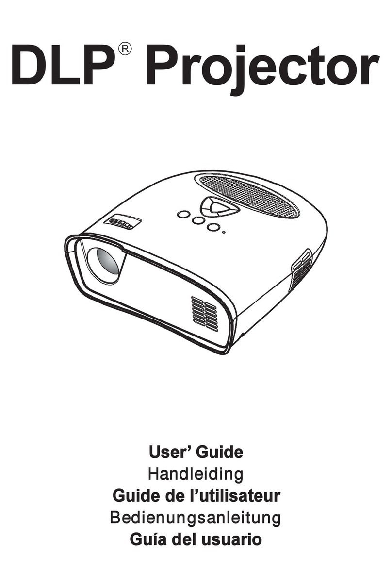 Texas Instruments DLP Projector user guide