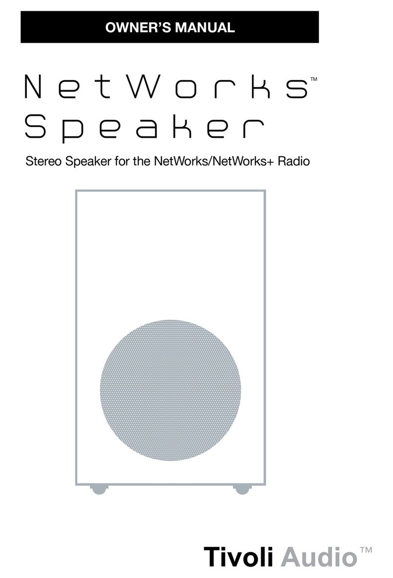 Tivoli Audio NetWorks Speaker owner's manual