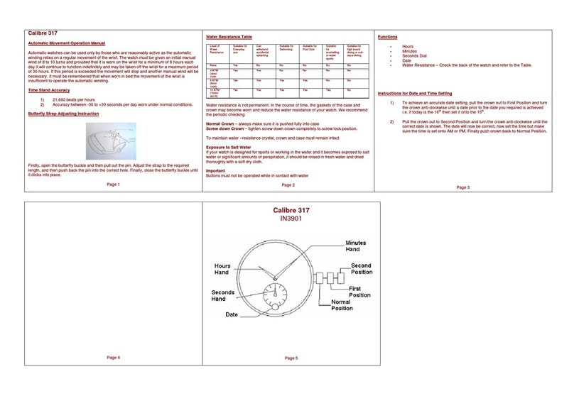 Zeon IN3901 CALIBRE 317 Operation manual