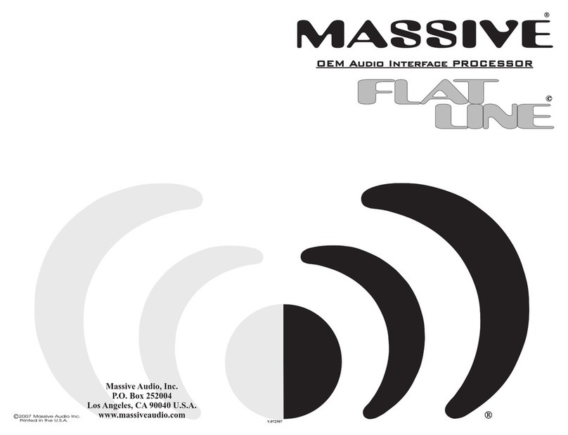 Massive Audio FlatLine instruction manual