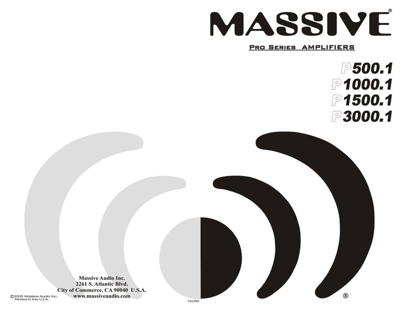 Massive Audio P1000.1 pro series User manual