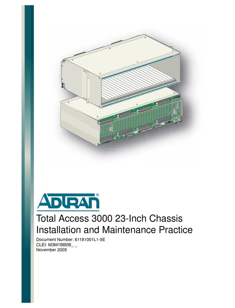 ADTRAN 1181001L1 Instruction Manual