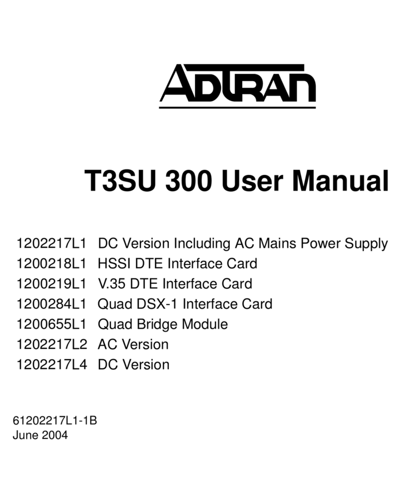 ADTRAN T3SU 300 user manual