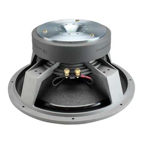 DLS Iridium 10 User manual