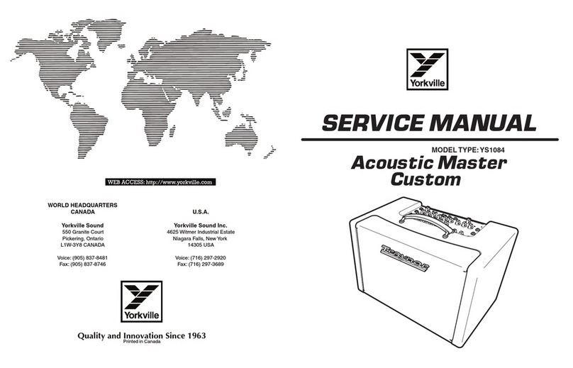Traynor Acoustic Master Custom YS User manual