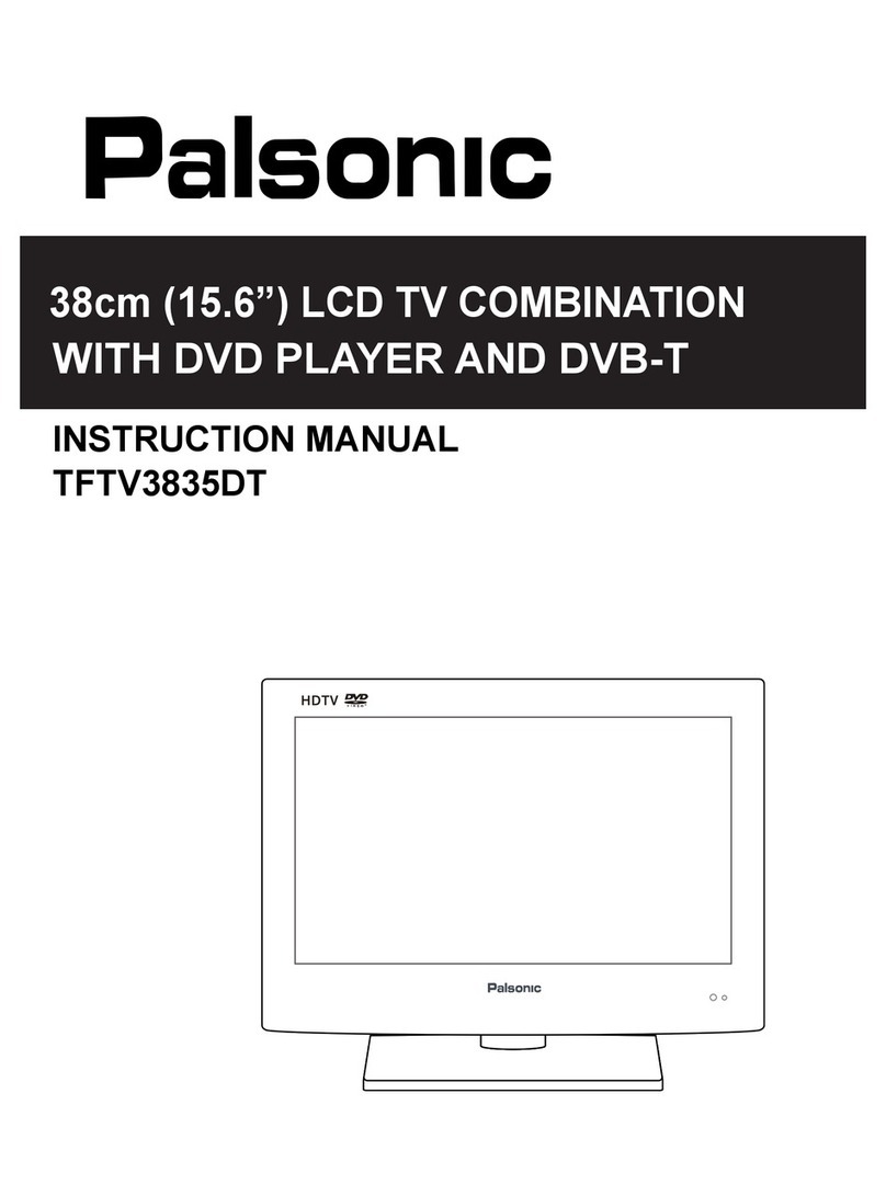 Palsonic TFTV3835DT instruction manual