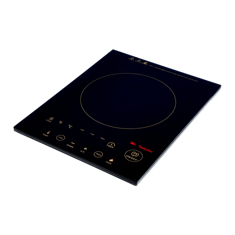 Mr. Induction Mr. Induction SR-963T instruction manual