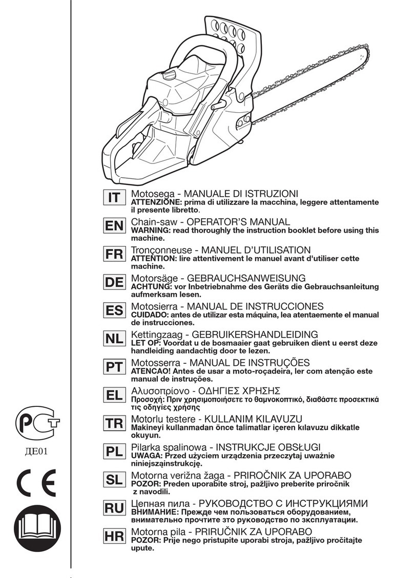 GGP ITALY SPA Electric Chain-saw User manual