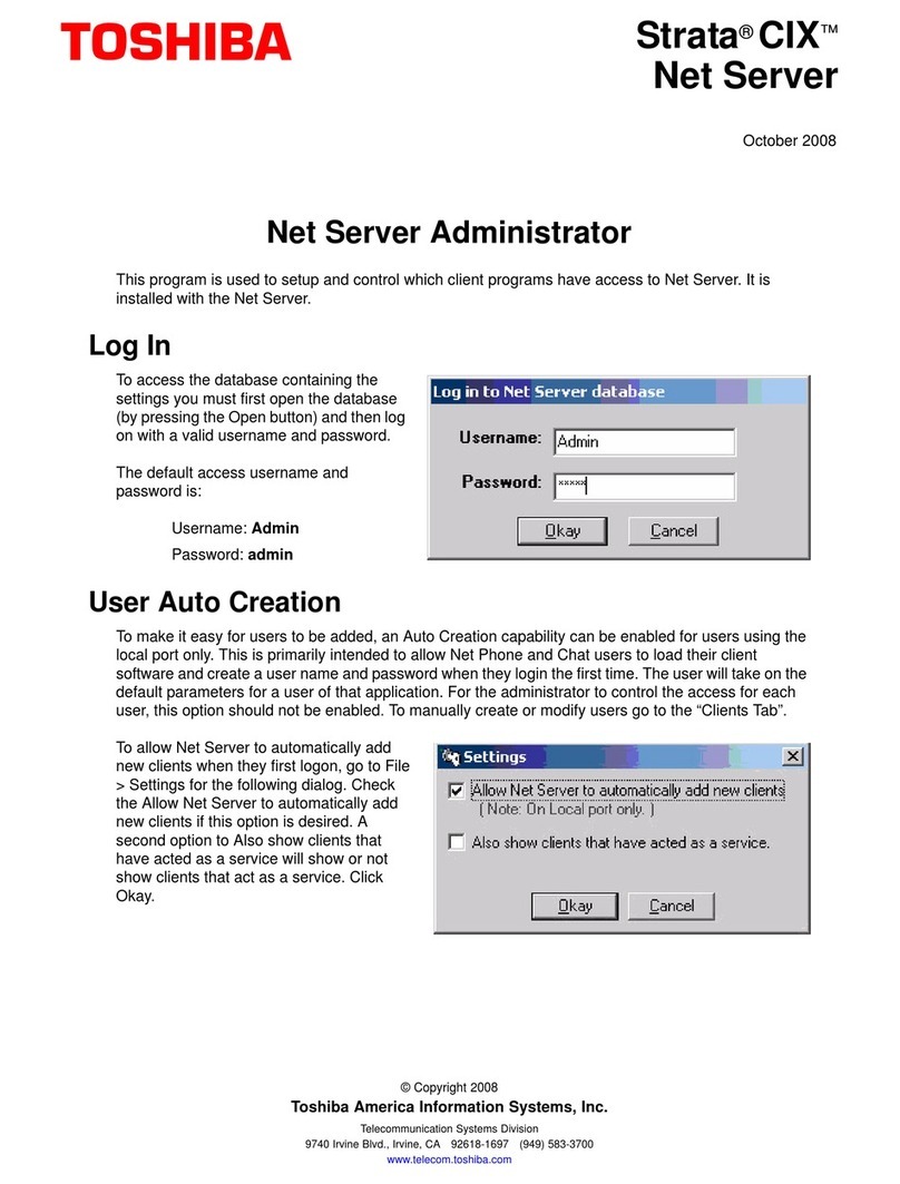 Toshiba STRATA CIX Net Server Service manual