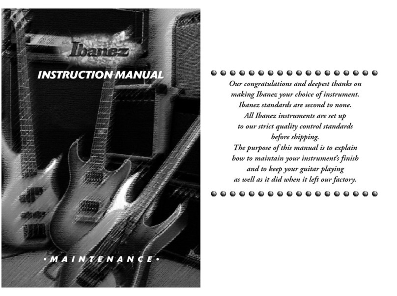 Ibanez MAINTENANCE instruction manual