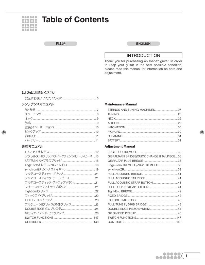 Ibanez Electric Guitar manual