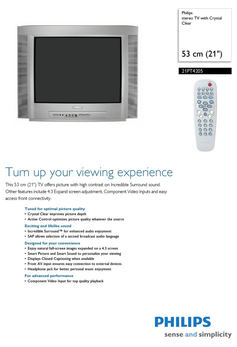Philips 21PT4205 User manual