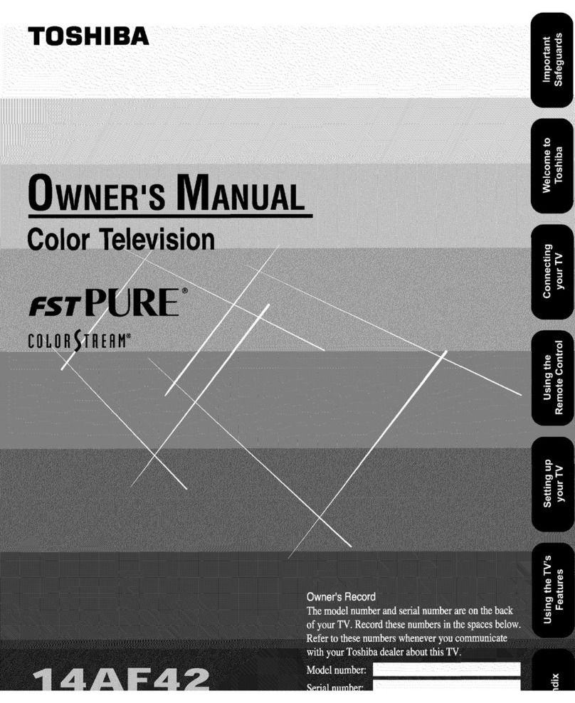 Toshiba FSTPURE ColorStream 14AF42 User manual