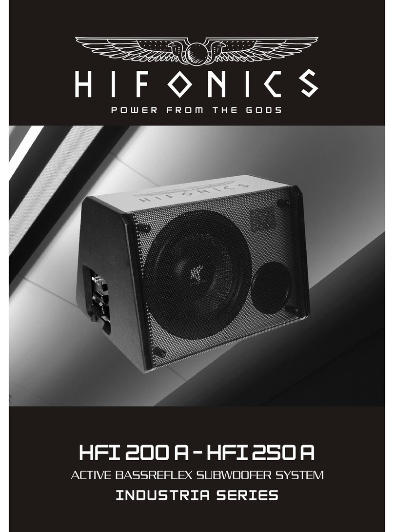 Hifionics HFI 250 A User manual