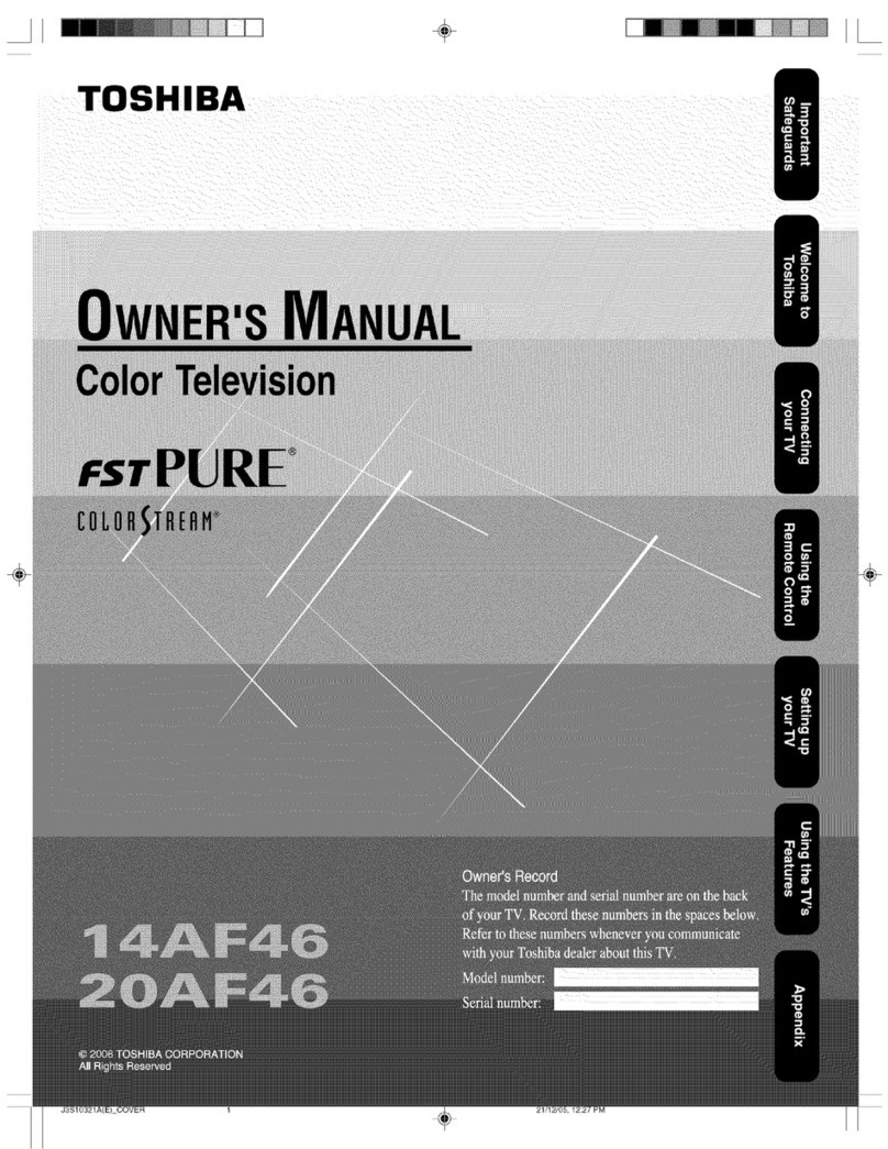Toshiba FSTPURE COLORSTREAM 20AF46 owner's manual