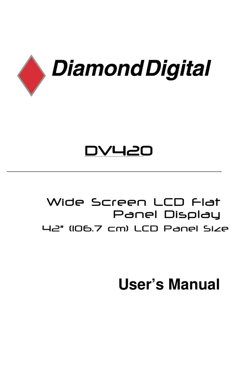 Diamond Digital DiamondDigital DV420 user manual
