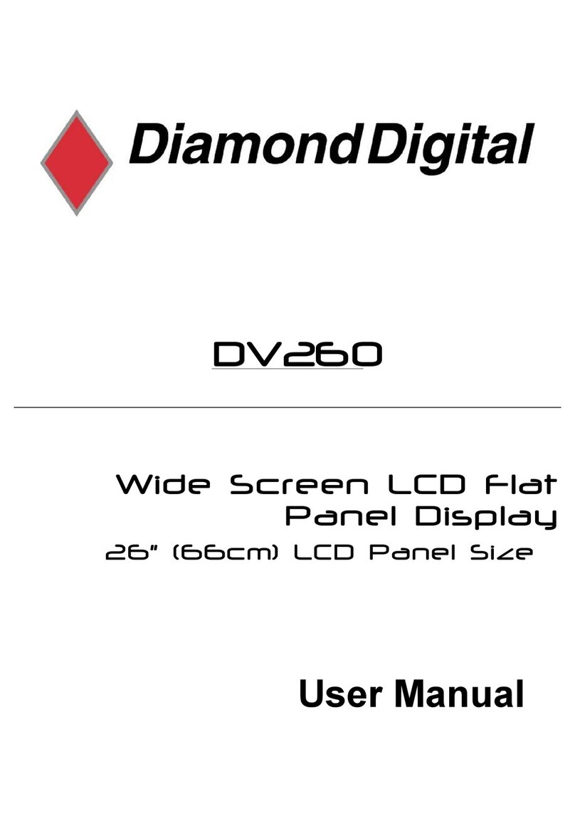 Diamond Digital DiamondDigital DV260 User manual