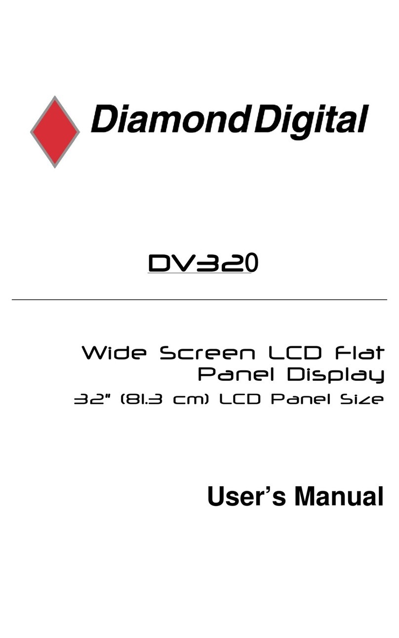 Diamond Digital DiamondDigital DV320 User manual
