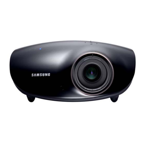 Samsung D300 (Electra) User manual