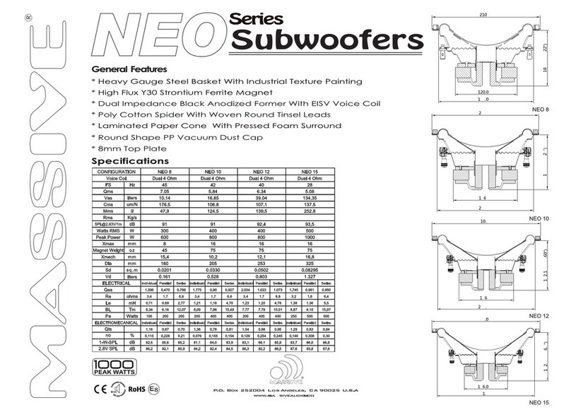 Massive Audio NEO 8 specification