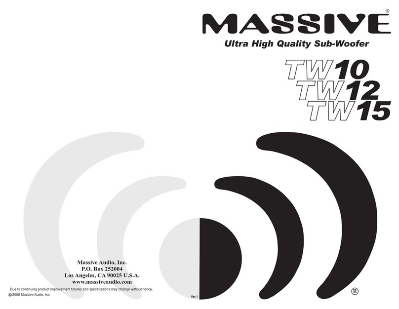 Massive Audio TW10 User manual Massive Audio TW10 User manual
