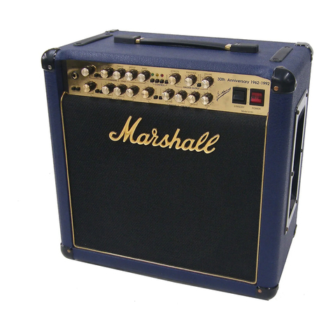 Marshall Amplification 30th Anniversary Handbook