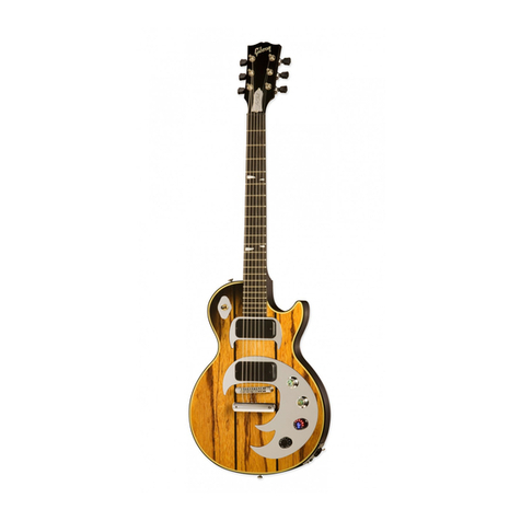 Gibson Dusk Tiger Instruction manual
