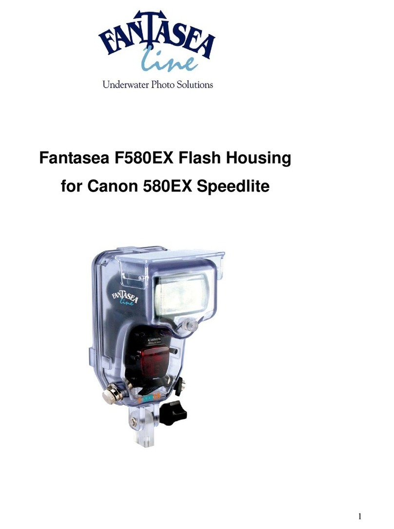 Fantasea F580EX Mark II Using