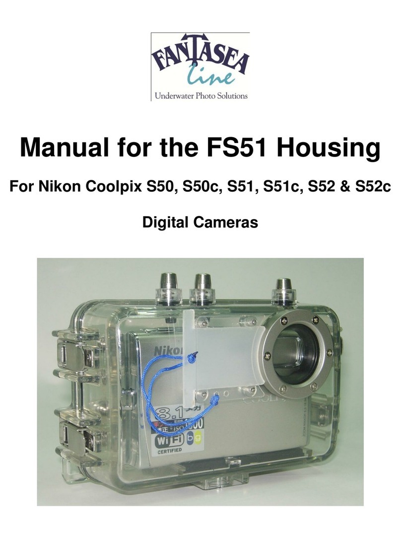Fantasea FS51 User manual